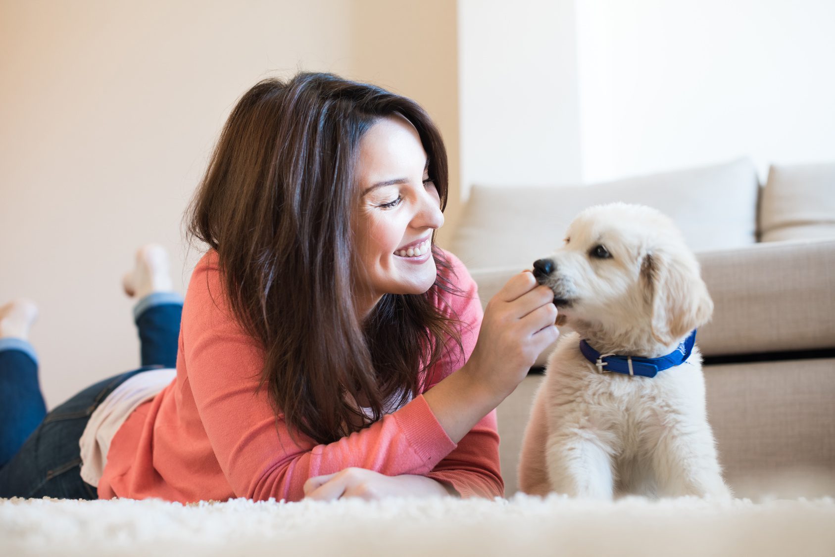 When Going Through a Divorce, What Happens to Pets?